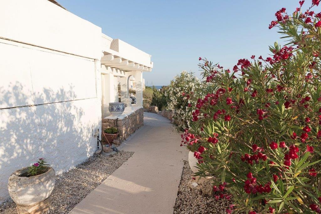 Apartment Ianira - Le Due Lune Lampedusa